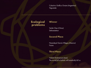 Golden Turtle I Second prize in Ecological problems nomination